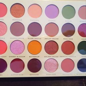 Ace Beaute eyeshadow palette